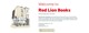 Red lion books logo